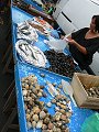 thn_Francie_2009-08-16_20.jpg