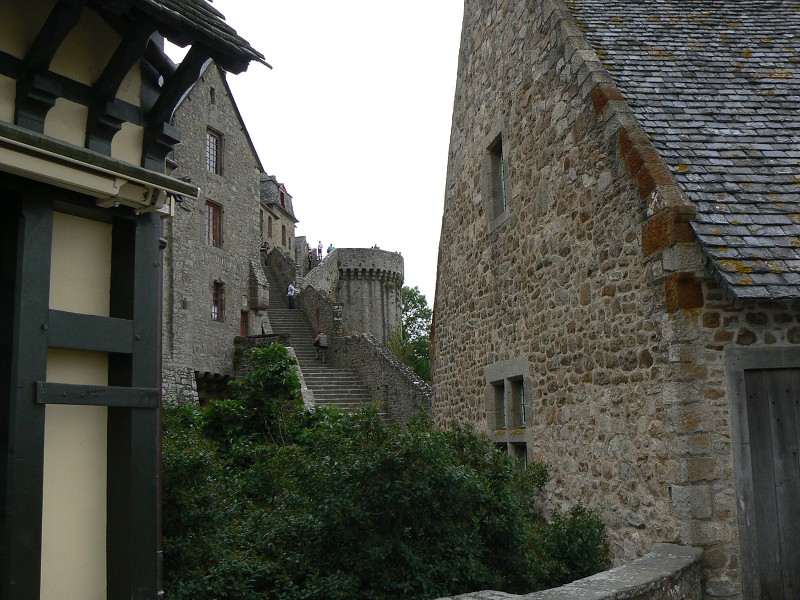 Francie_2009-08-17_20.jpg