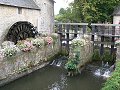 thn_Francie_2009-08-17_29.jpg
