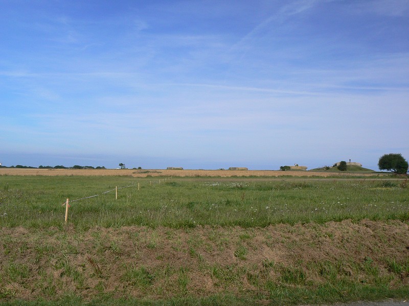 Francie_2009-08-18_07.jpg
