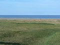thn_Francie_2009-08-18_107.jpg