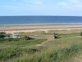 thn_Francie_2009-08-18_123.jpg
