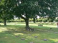 thn_Francie_2009-08-18_99.jpg