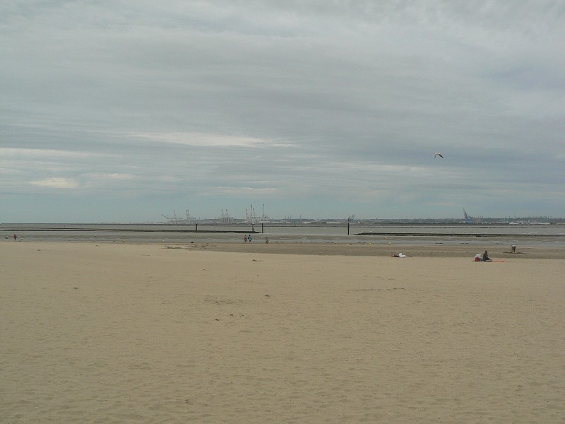 Francie_2009-08-20_36.jpg