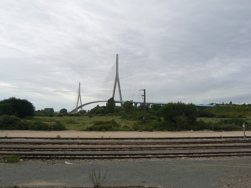 Francie_2009-08-20_41.jpg