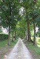 thn_IMG_3329.jpg