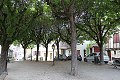 thn_IMG_3495.jpg