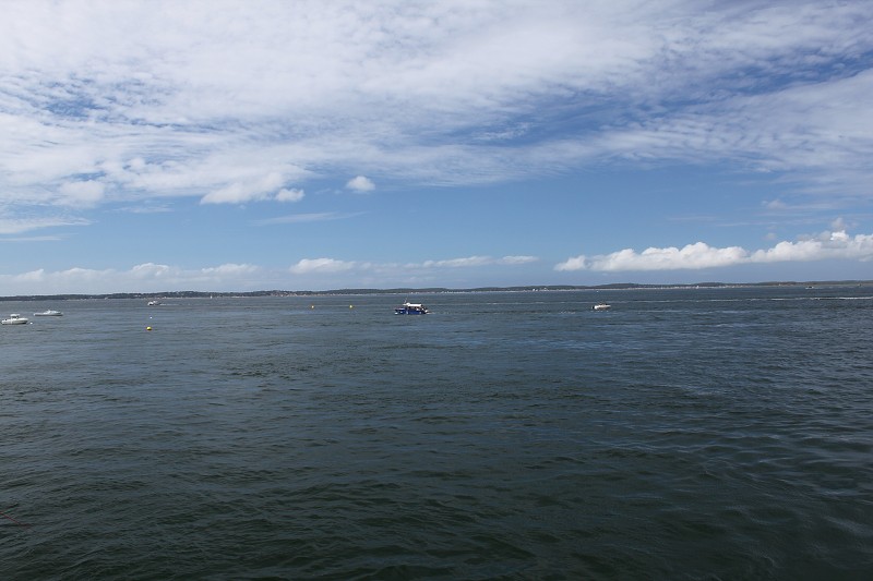IMG_3961.jpg