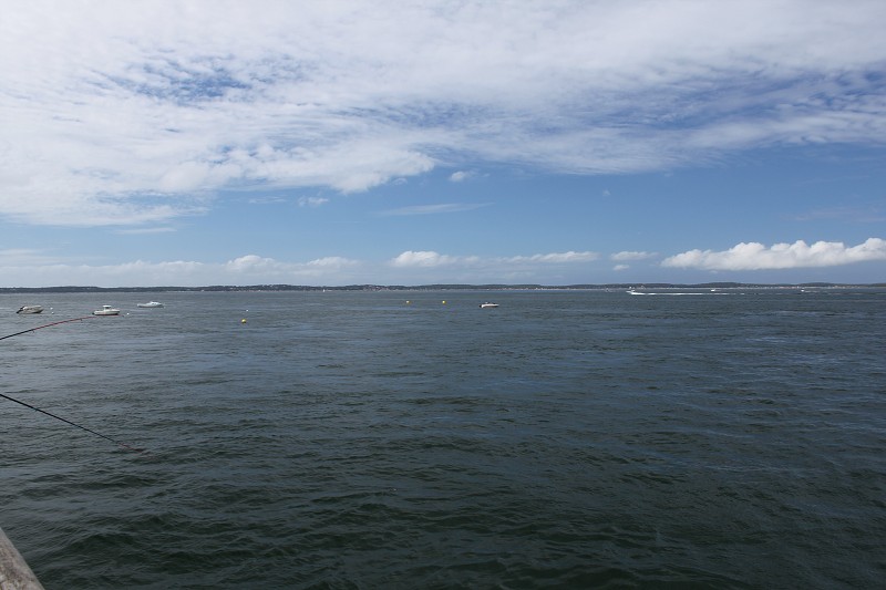 IMG_3966.jpg