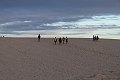 thn_IMG_4061.jpg