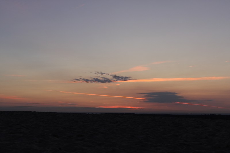 IMG_4306.jpg