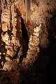 thn_IMG_4496.jpg