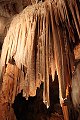 thn_IMG_4509.jpg