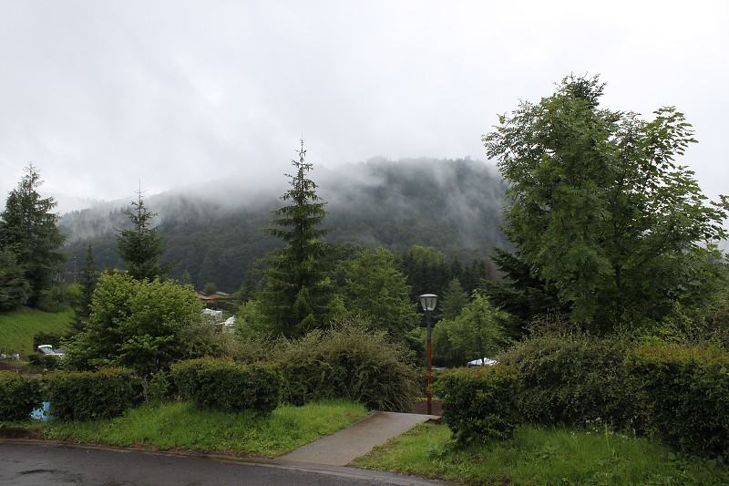 IMG_6794.jpg