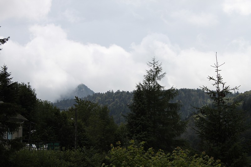 IMG_6804.jpg