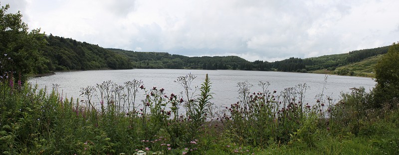 IMG_6831_panorama.jpg