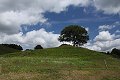 thn_IMG_6952.jpg