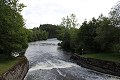 thn_IMG_6965.jpg