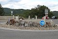 thn_IMG_7018.jpg