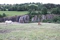 thn_IMG_7091.jpg
