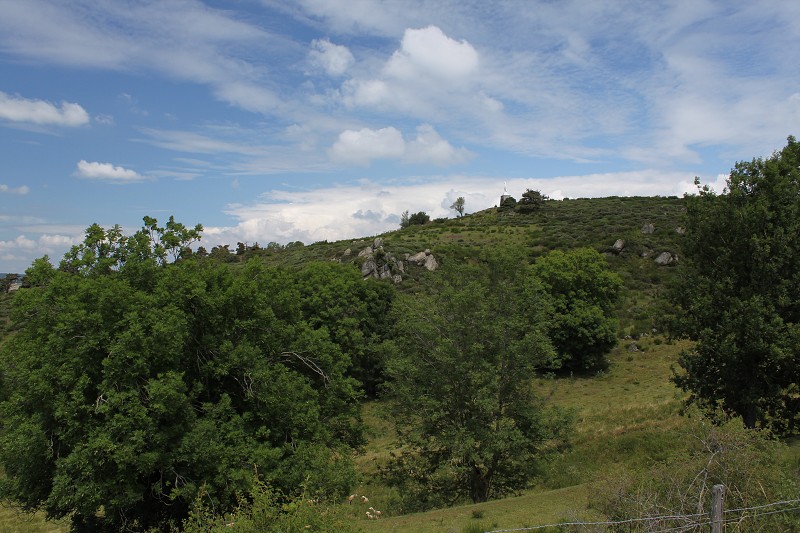 IMG_7270.jpg