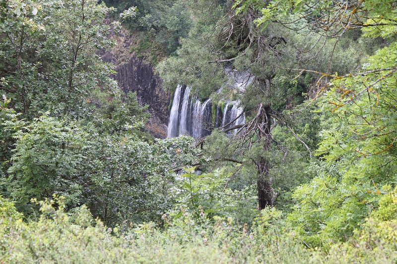 IMG_7389.jpg