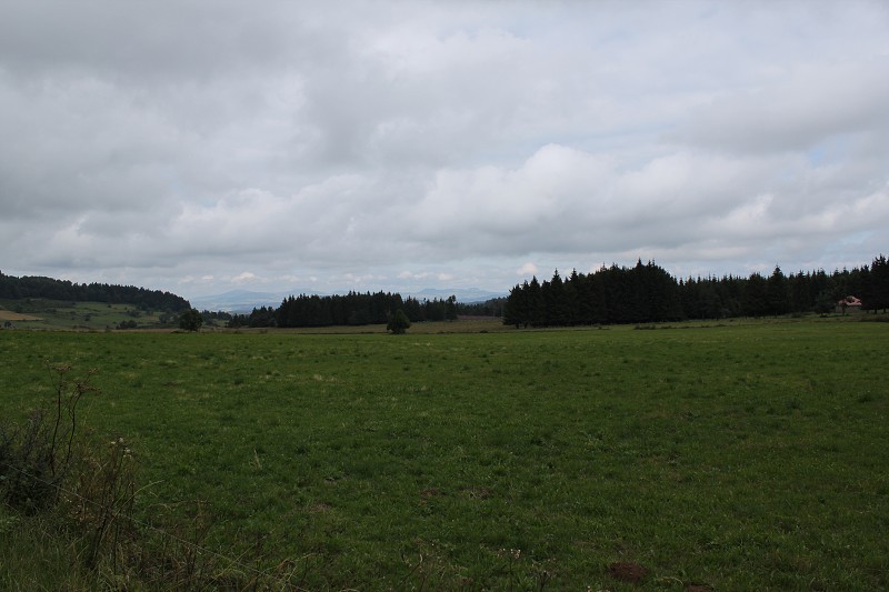 IMG_7477.jpg
