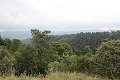thn_IMG_7399.jpg