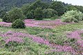 thn_IMG_7451.jpg