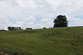 thn_IMG_7452.jpg