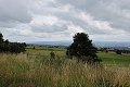 thn_IMG_7486.jpg