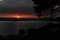 thn_IMG_7557.jpg