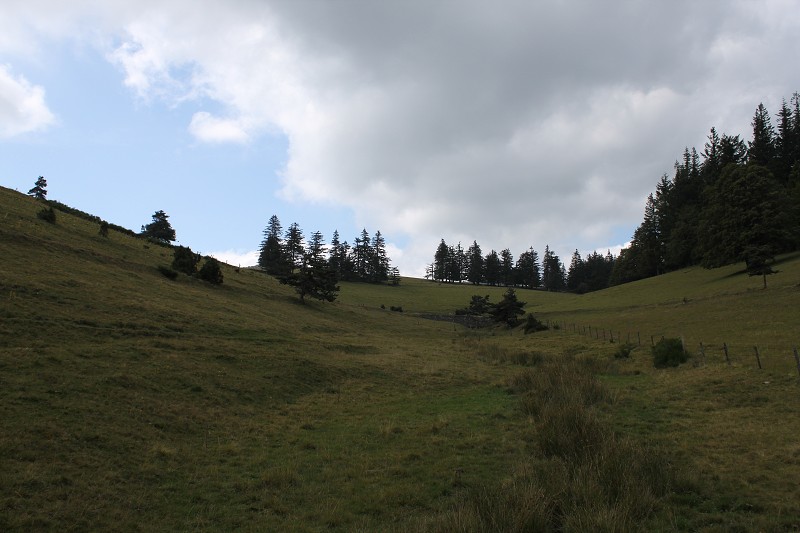 IMG_7713.jpg