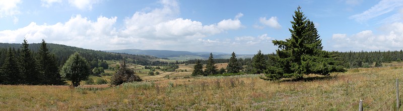 IMG_7732_panorama.jpg