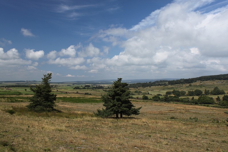 IMG_7739.jpg