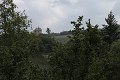 thn_IMG_7699.jpg