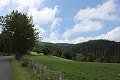 thn_IMG_7778.jpg