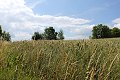 thn_IMG_7808.jpg