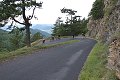 thn_IMG_7835.jpg