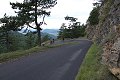thn_IMG_7839.jpg