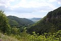 thn_IMG_7853.jpg