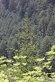 thn_IMG_7856.jpg