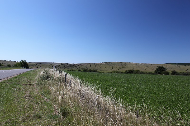 IMG_7933.jpg