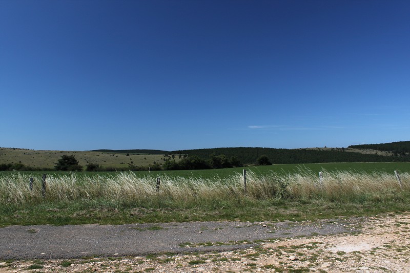 IMG_7939.jpg