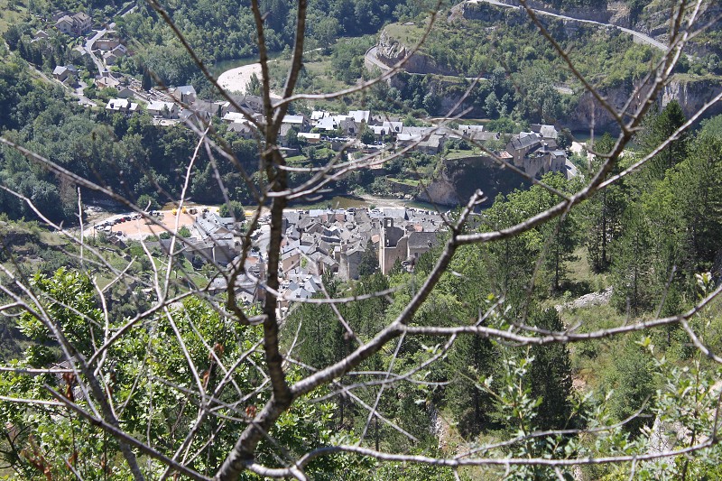 IMG_7965.jpg