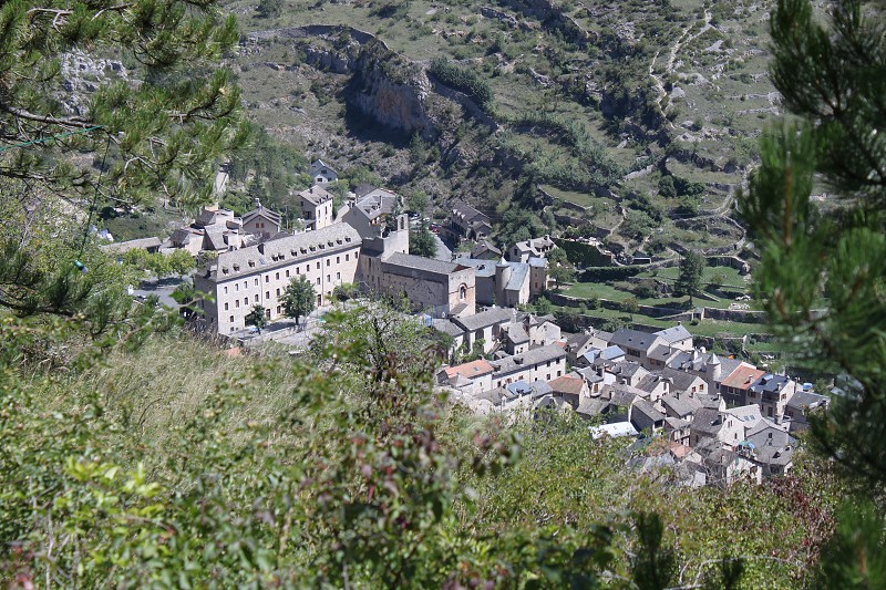 IMG_7967.jpg
