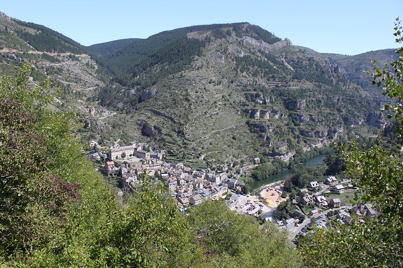 IMG_7971.jpg