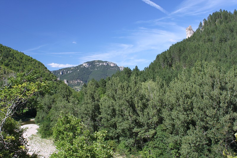 IMG_8021.jpg