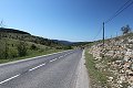 thn_IMG_7957.jpg