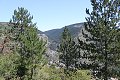 thn_IMG_7968.jpg